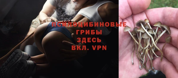прущий лед Верея