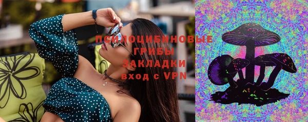 винт Верхний Тагил