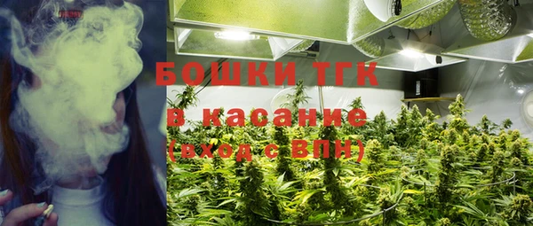 прущий лед Верея