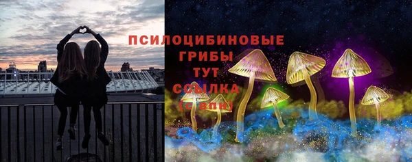 винт Верхний Тагил