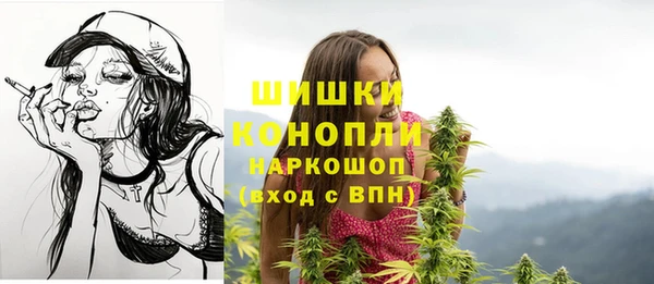 прущий лед Верея
