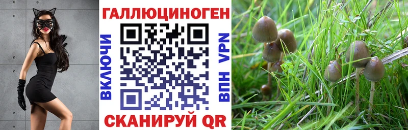 Псилоцибиновые грибы MAGIC MUSHROOMS  наркотики  Пласт 